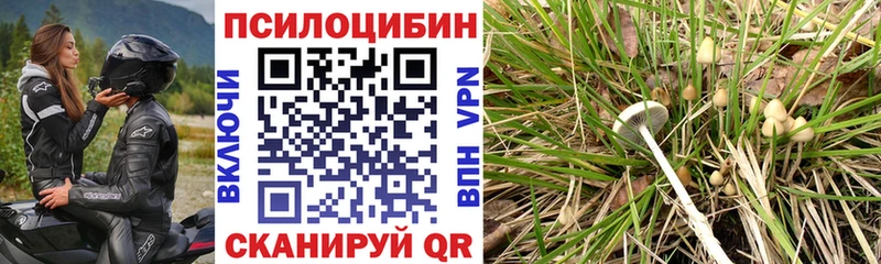 Псилоцибиновые грибы Magic Shrooms  ссылка на мегу маркетплейс  Дербент 