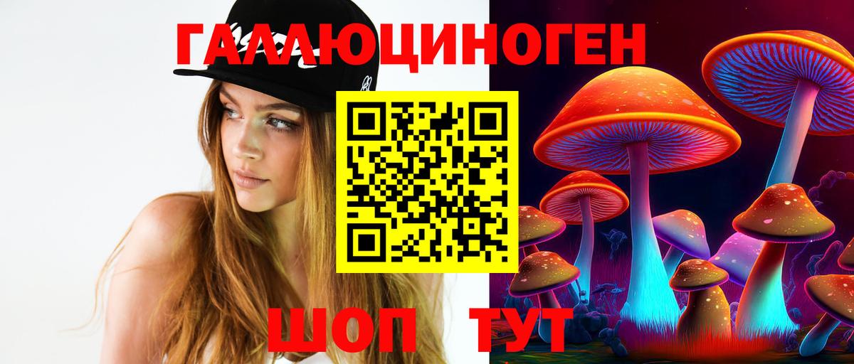 Дербент  Псилоцибиновые грибы мухоморы  где купить наркоту  Вход с VPN 